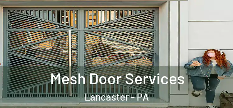 Mesh Door Services Lancaster - PA